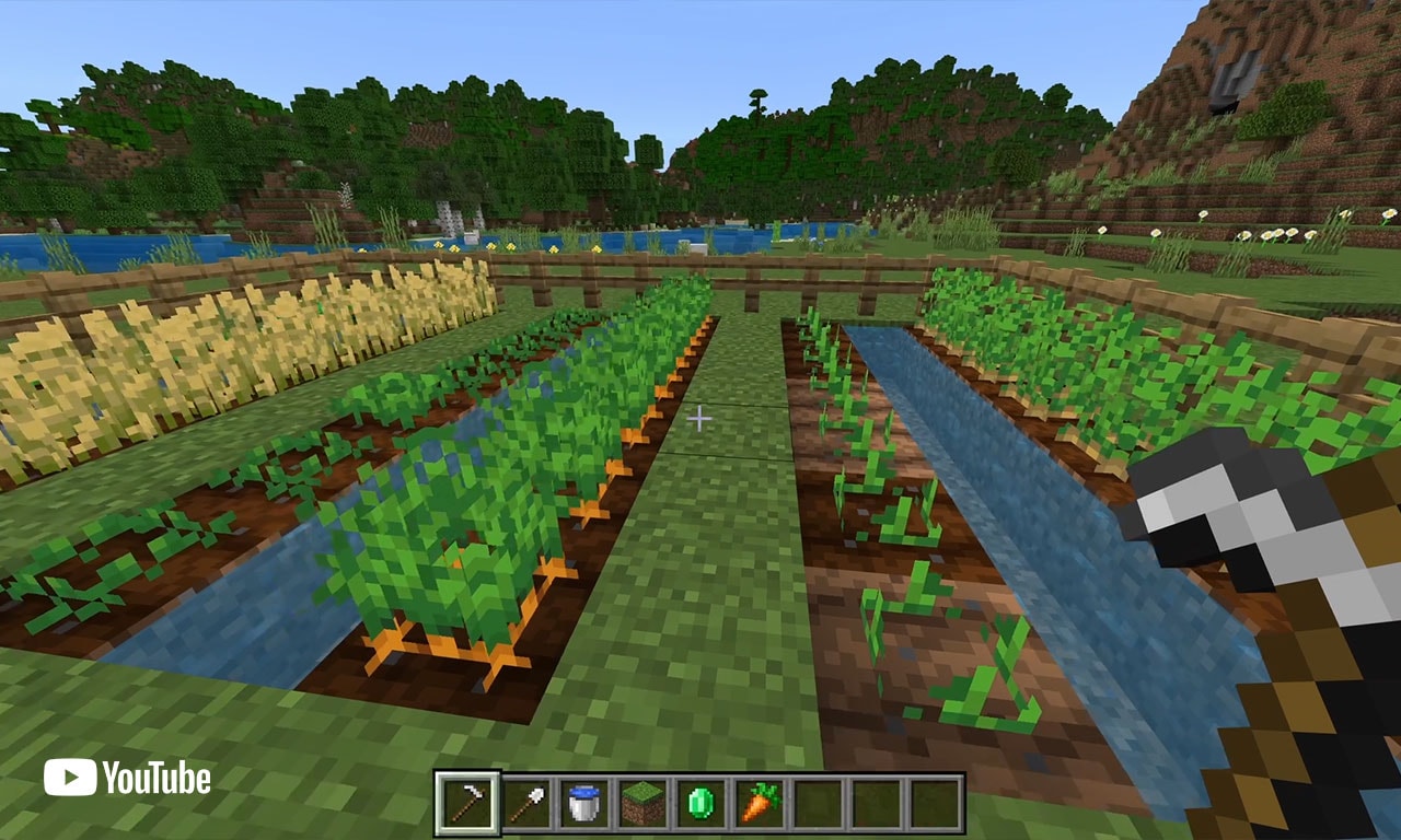 Create a basic agricultural setup.