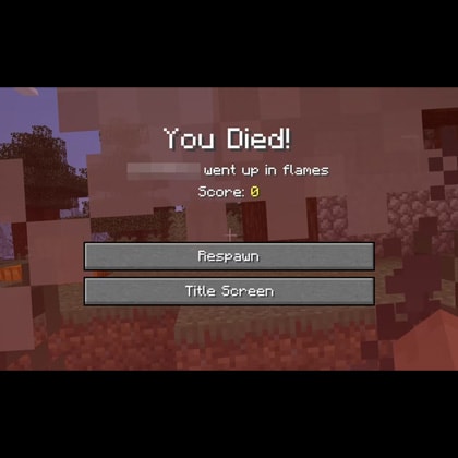 A Minecraft interface displays the message 